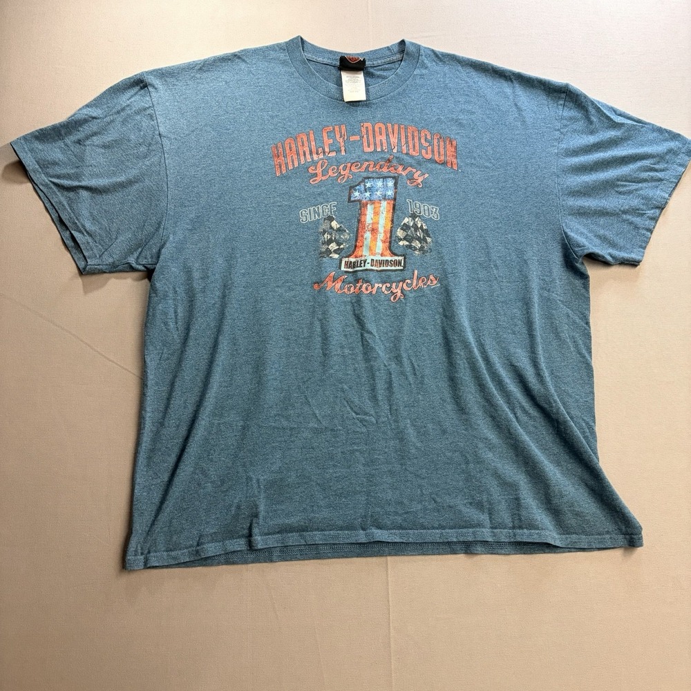 Harley-Davidson Chandler AZ Blue Snake Graphic T-Shirt Size XXL
